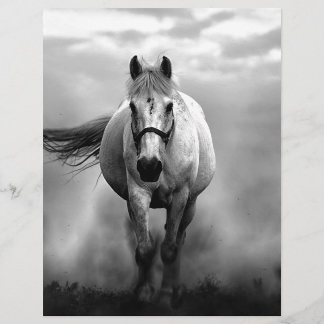 Black White Running Horse Freedom (Framsida)