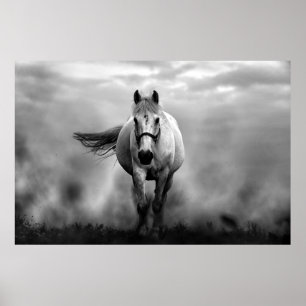 Black White Running Horse Freedom Poster