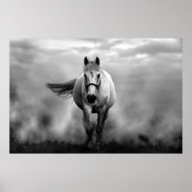 Black White Running Horse Freedom Poster (Framsidan)