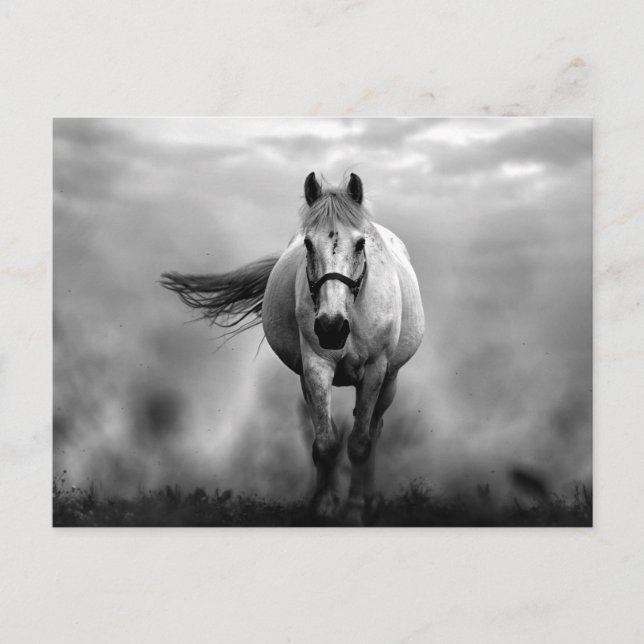 Black White Running Horse Freedom Vykort (Framsida)