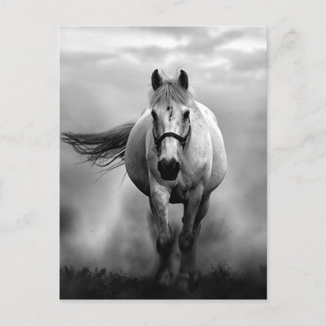 Black White Running Horse Freedom Vykort (Framsida)