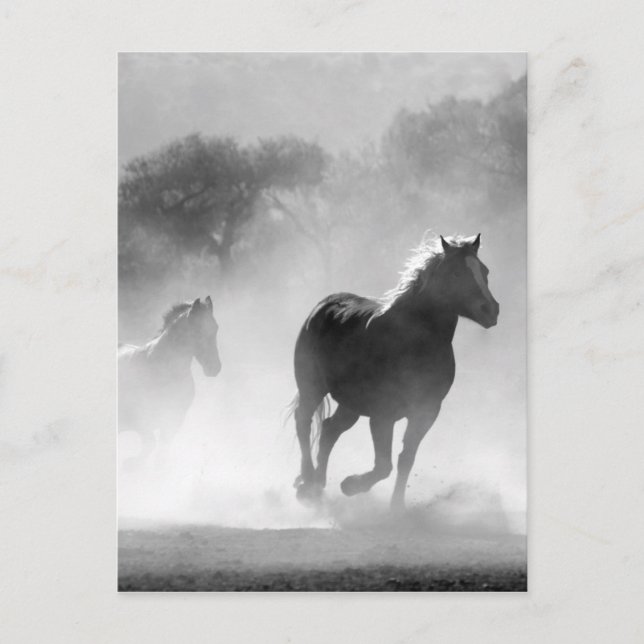 Black White Runses Freedom Vykort (Framsida)