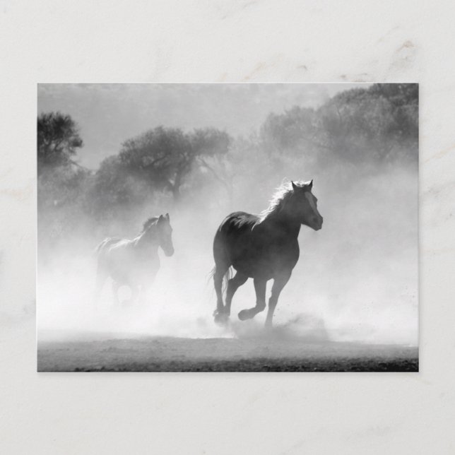 Black White Runses Freedom Vykort (Framsida)