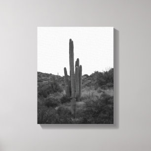 Black & White Saguaro Cactus 11 x 14 Canvastryck