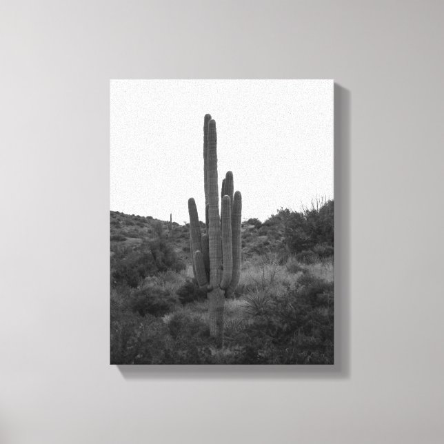 Black & White Saguaro Cactus 11 x 14 Canvastryck (Framsida)