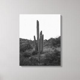 Black & White Saguaro Cactus 16 x 20 Canvastryck