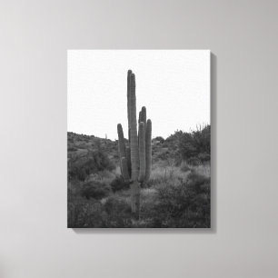 Black & White Saguaro Cactus 16 x 20 Canvastryck