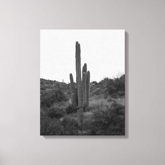 Black & White Saguaro Cactus 16 x 20 Canvastryck (Framsida)