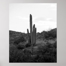 Black & White Saguaro Cactus 16 x 20 Poster