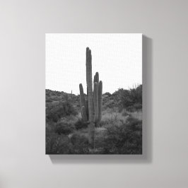 Black & White Saguaro Cactus 8x10 Canvastryck