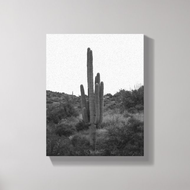 Black & White Saguaro Cactus 8x10 Canvastryck (Framsida)