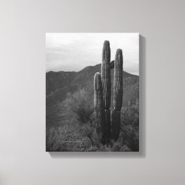 Black & White Saguaro Cactus in Backe 11x14 Canvastryck
