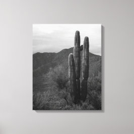 Black & White Saguaro Cactus in Backe 16x20 Canvastryck