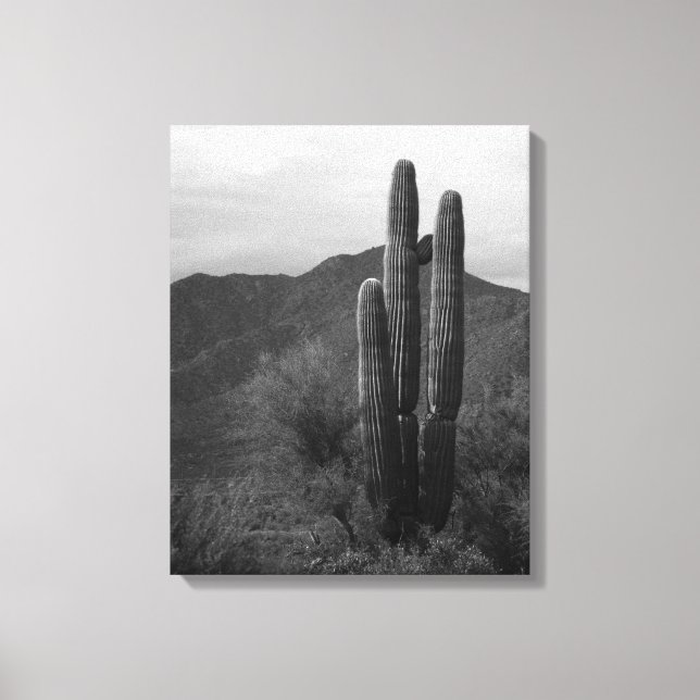 Black & White Saguaro Cactus in Backe 16x20 Canvastryck (Framsida)