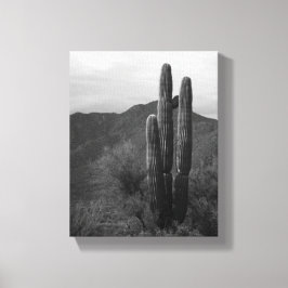 Black & White Saguaro Cactus in Backe 8 x 10 Canvastryck