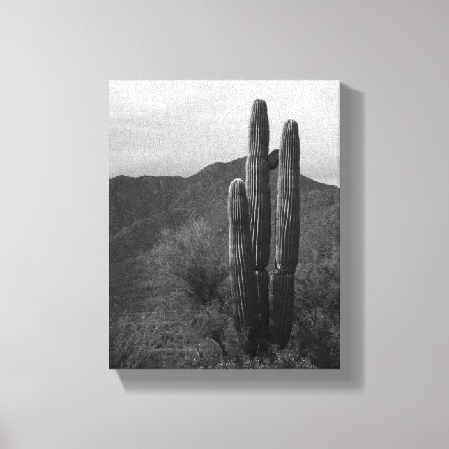 Black & White Saguaro Cactus in Backe 8 x 10 Canvastryck (Framsida)