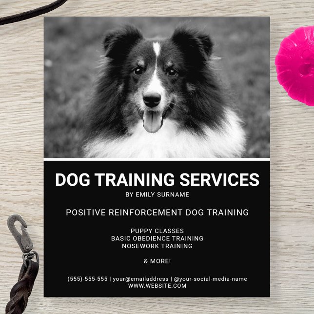 Black & White Shetland Sheepdog Photo Hund Trainer Flygblad (Skapare uppladdad)