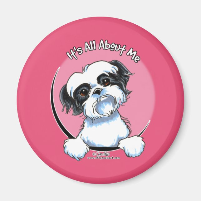 Black/White Shih Tzu IAAM Magnet (Framsidan)