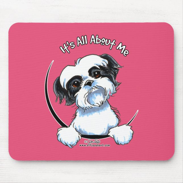Black/White Shih Tzu IAAM Musmatta (Framsidan)