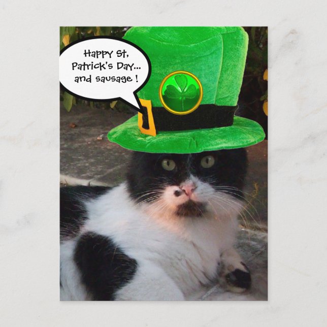 BLACK WHITE ST. PATRICK'S DAY CAT LEPRECHAUN HAT VYKORT (Framsida)