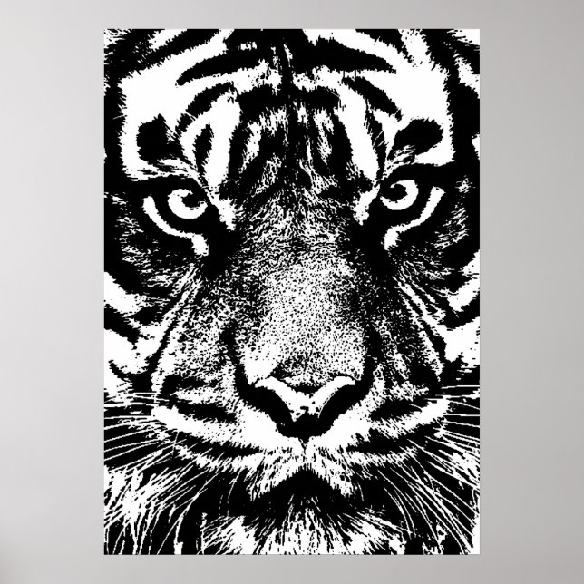 Black White Sumatran Borneo Tiger Öga Artwork Poster (Framsidan)