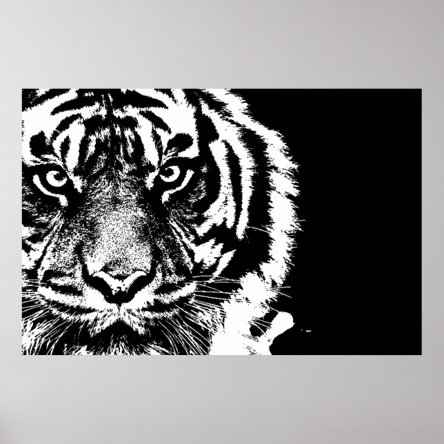 Black & White Sumatran Borneo Tiger Poster (Framsidan)