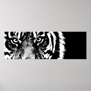 Black & White Sumatran Tiger Ögon Poster