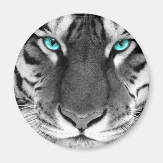Black White Tiger Magnet