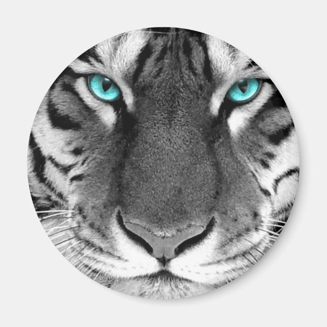 Black White Tiger Magnet (Framsidan)