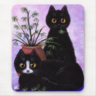 Black White Tuxedo Funny Cat Creationarts Musmatta