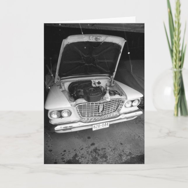 "Black & White Valiant with Snöflingor" Få bra Kort (Framsida)