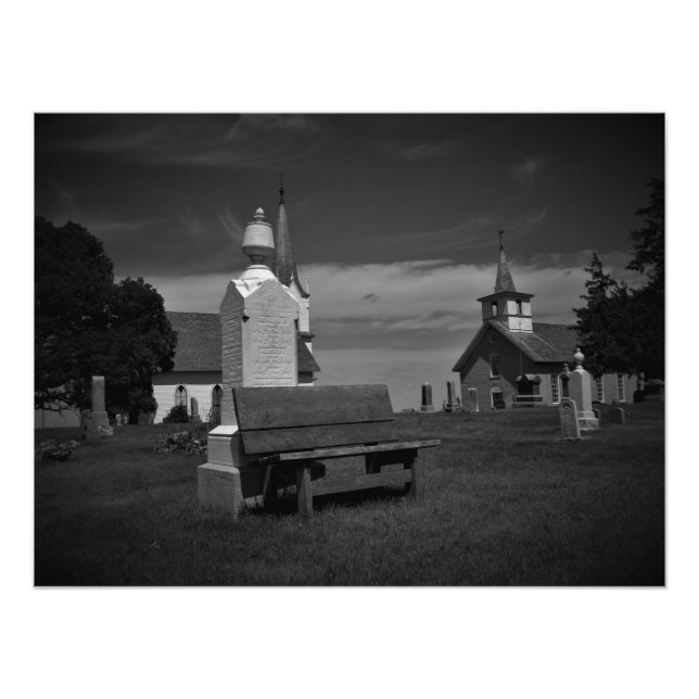 "Black & White Valley Grove" Fototryck (Framsidan)