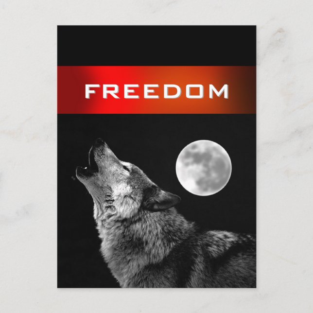 Black White Varg Howling vid Måne Freedom Postcard Vykort (Framsida)