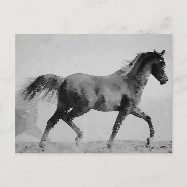 Black & White Walking Horse Vykort (Framsida)