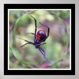 Black Widow-utskrift Poster