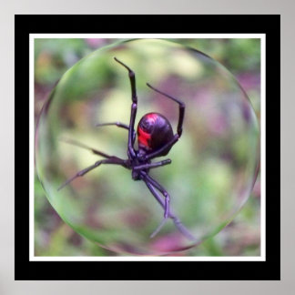 Black Widow-utskrift Poster