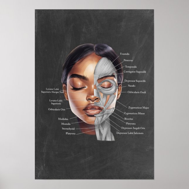 Black Woman Beauty Anatomy Art Poster (Framsidan)