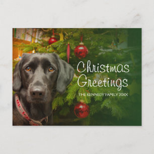 Black women Labrador Retriever Helg Vykort