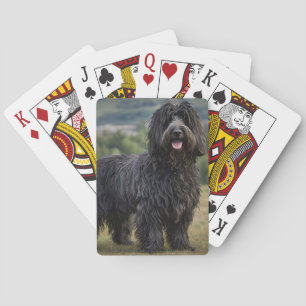 Black Wooly Bergamasco Sheepdog Casinokort