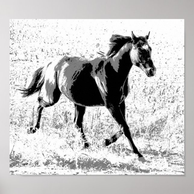 Black Yearling Horse Poster (Framsidan)