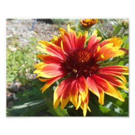 Bläckande ljus fototryck