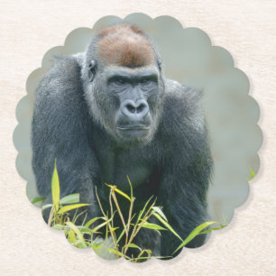 Blackback Gorilla Lope Underlägg Papper