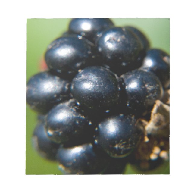 Blackbär Anteckningsblock (Framsida)