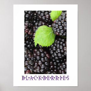 Blackbär Kitchen Art Poster