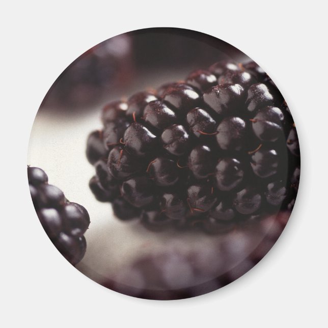 Blackbär Magnet (Framsidan)
