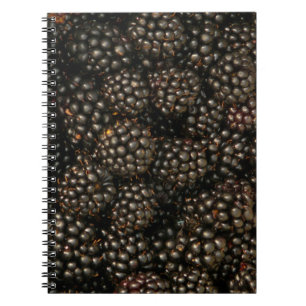 Blackbär Notebook Anteckningsbok Med Spiral