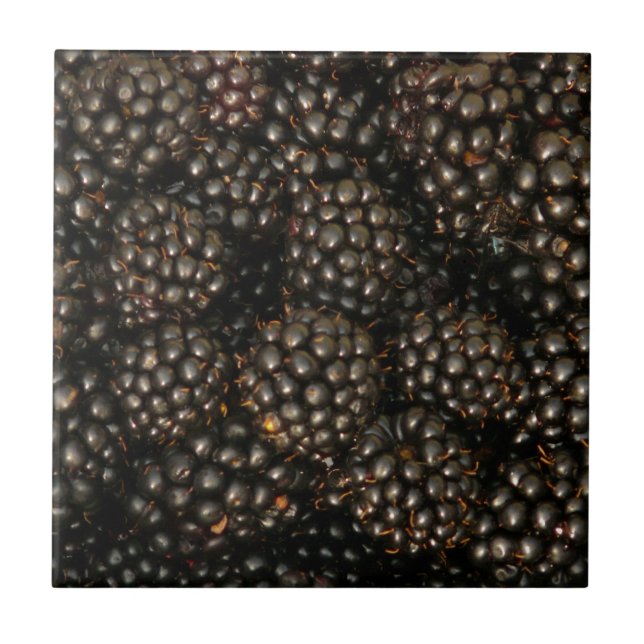 Blackbär Tile Kakelplatta (Framsidan)