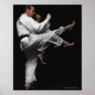 Blackbelt som gör en Front Kick Poster