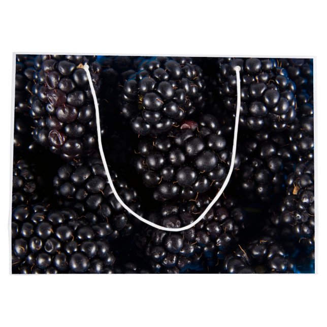 Blackberry (Baksidan)