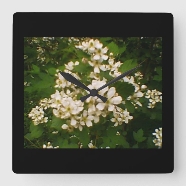 Blackberry Blommar Fyrkantig Klocka (Framsida)